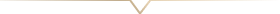 line_2-1-2-2-2.webp